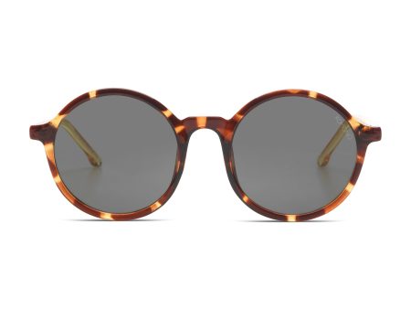 Boys & Girls Brown Sunglasses For Sale