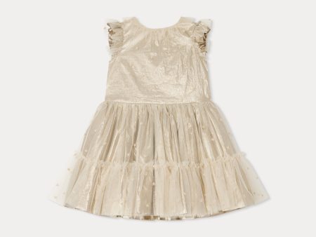 Girls Champagne Embroidered Dress Online Hot Sale