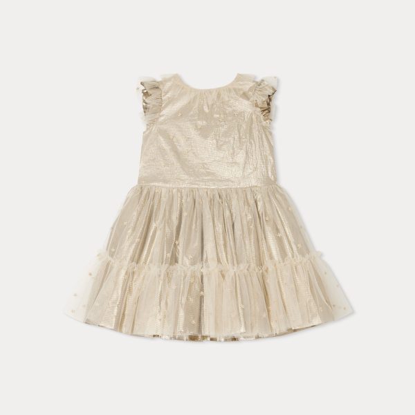 Girls Champagne Embroidered Dress Online Hot Sale