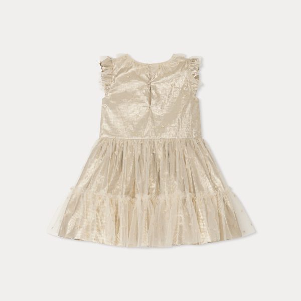 Girls Champagne Embroidered Dress Online Hot Sale