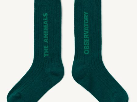 Boys & Girls Green Wool Socks Online