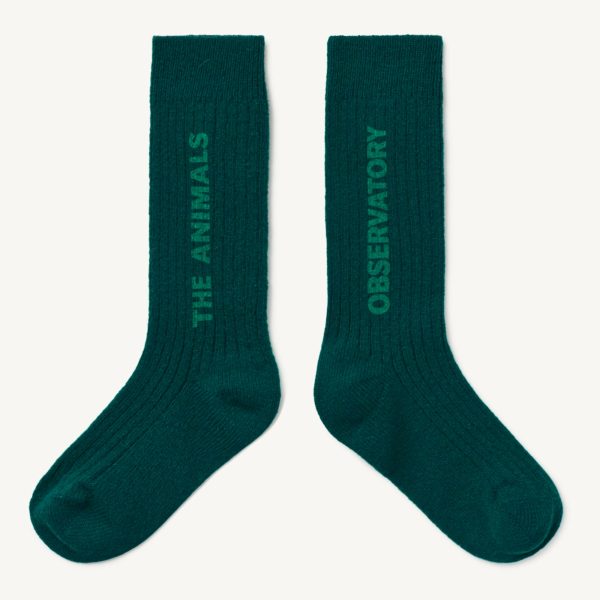 Boys & Girls Green Wool Socks Online