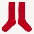 Boys & Girls Red Wool Socks Online