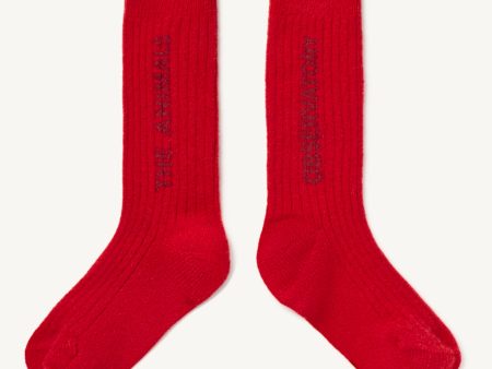 Boys & Girls Red Wool Socks Online