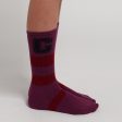 Boys & Girls Purple Logo Cotton Socks Online now