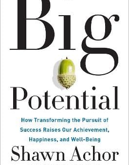 Big Potential: How Transforming the Pursuit of Success Raises Our Achievement, Happiness, and Well-Being Online